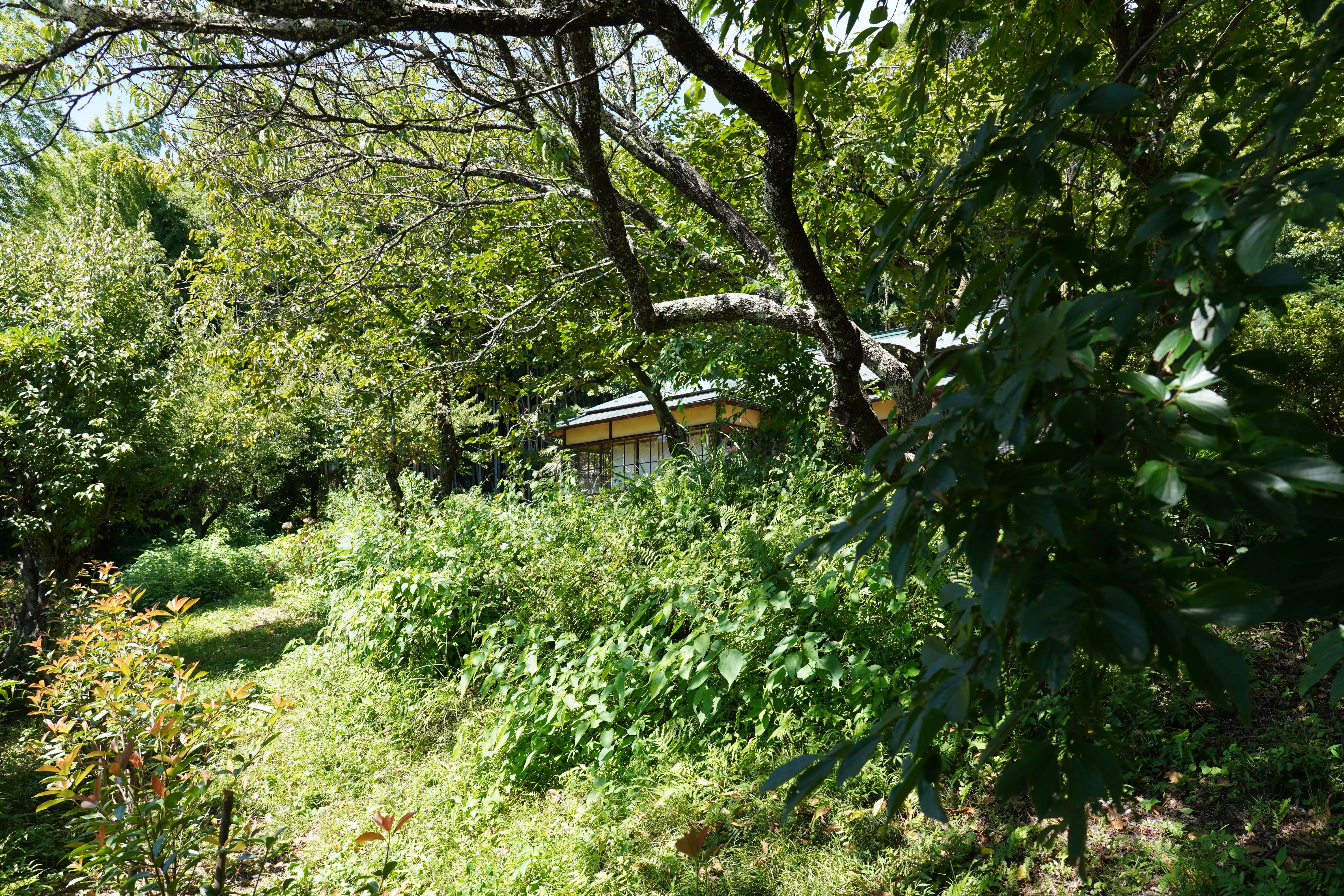 cottage